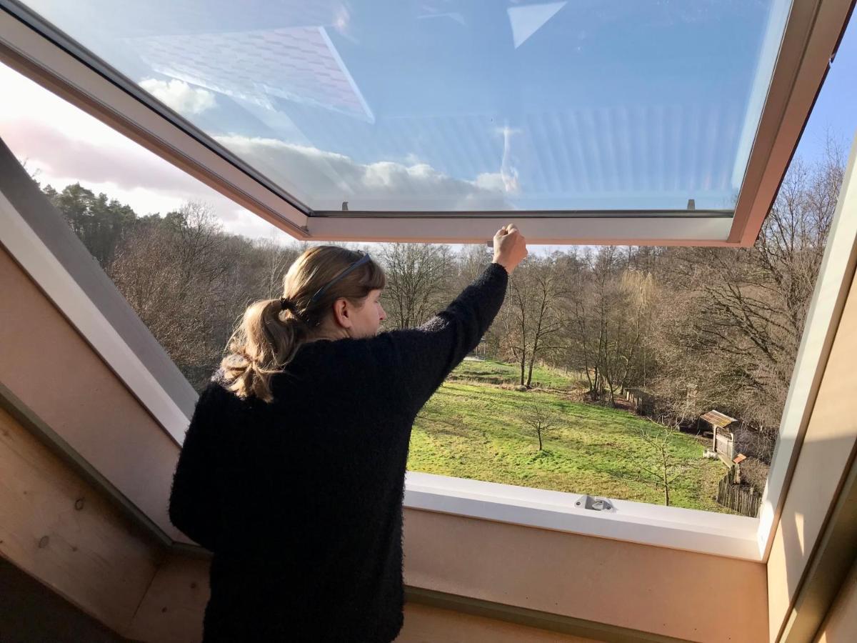 Vakantieverblijf Volmolen B&B Maaseik Exteriör bild