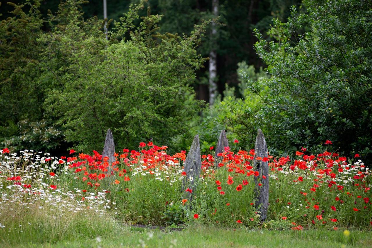 Vakantieverblijf Volmolen B&B Maaseik Exteriör bild