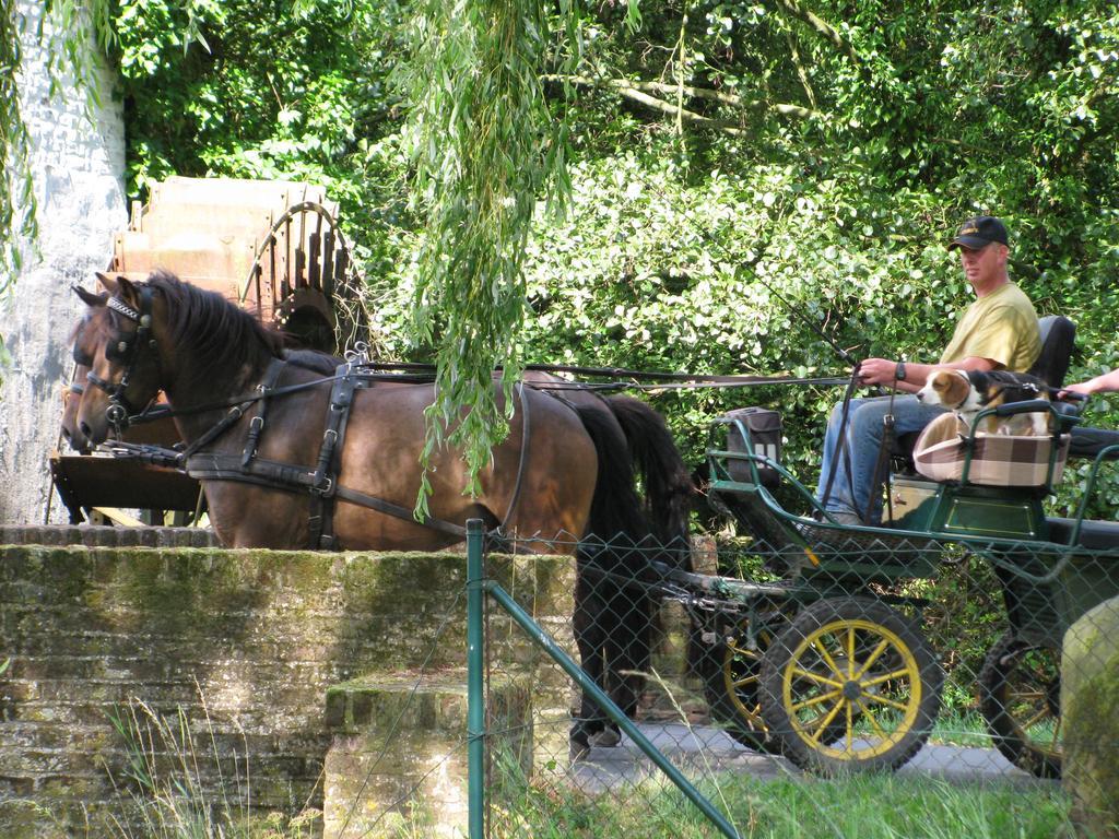 Vakantieverblijf Volmolen B&B Maaseik Exteriör bild